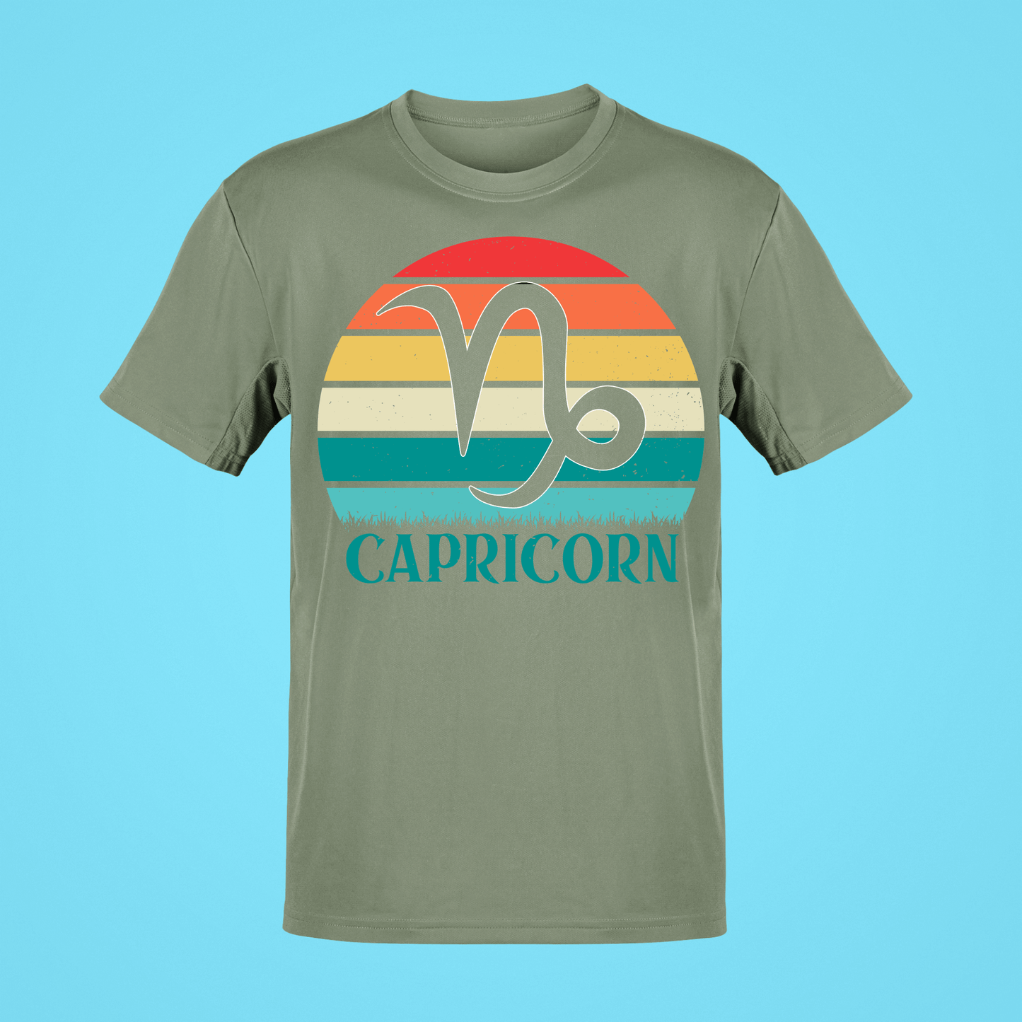 CAPRICORN 20105