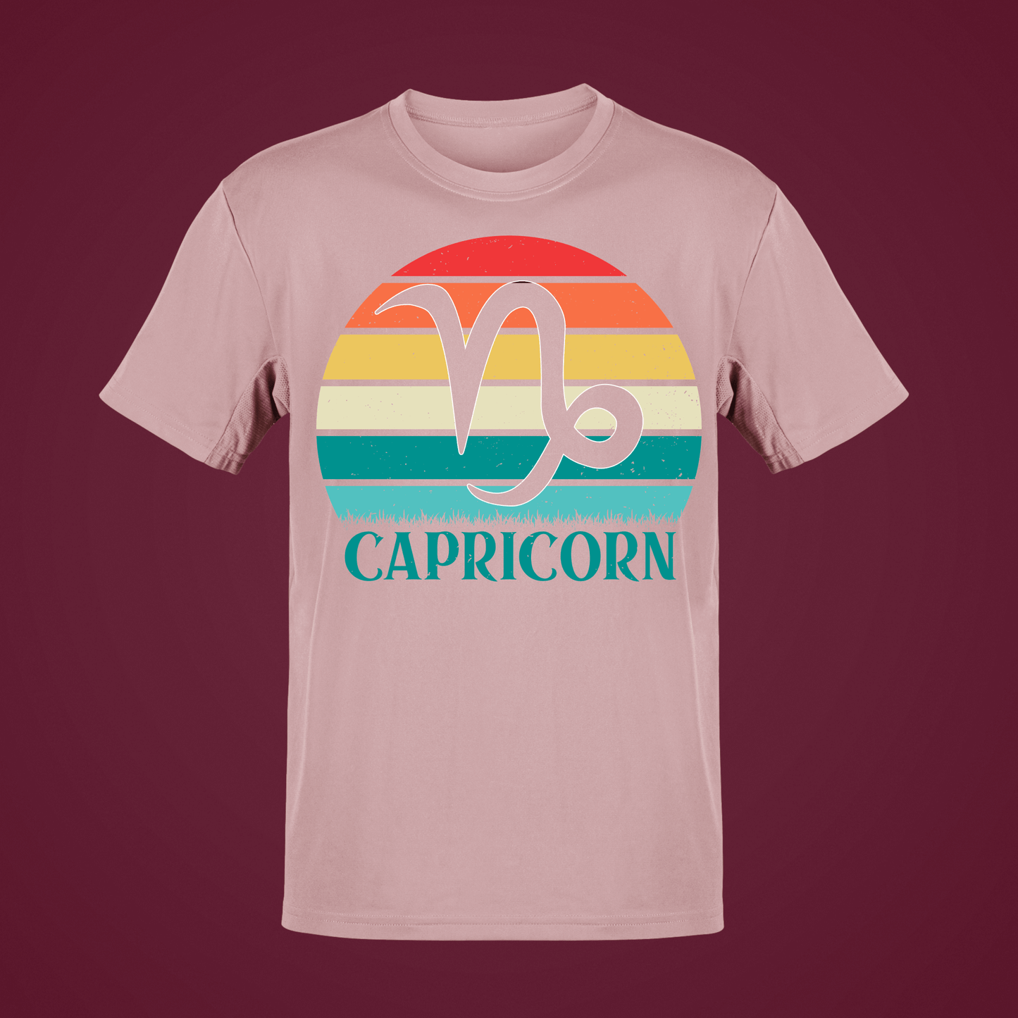 CAPRICORN 20105
