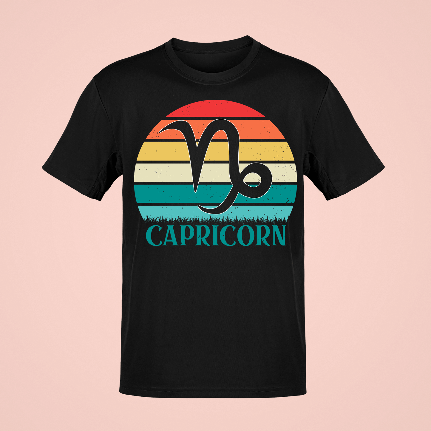 CAPRICORN 20105