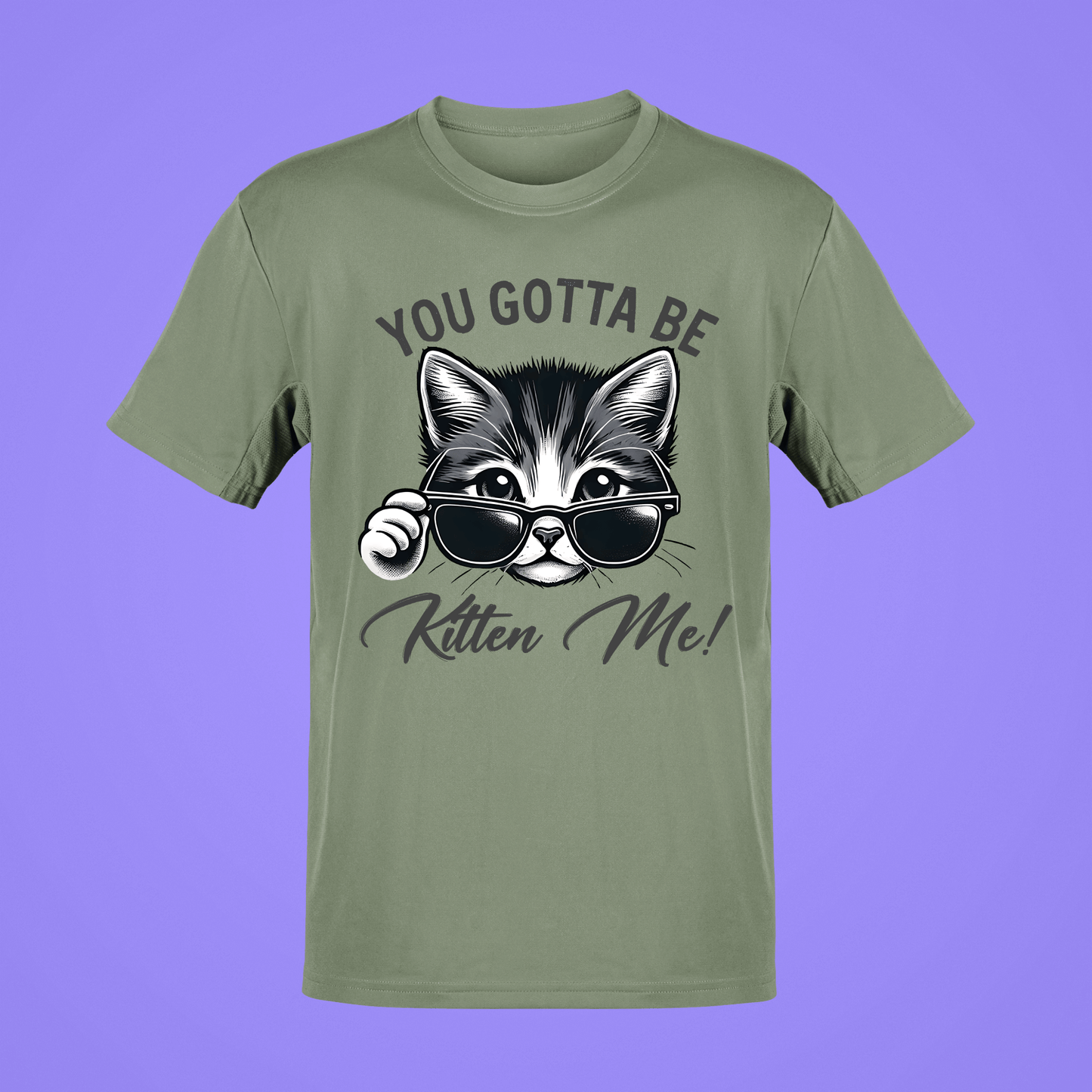 YOU GOTTA BE KITTEN ME 20147
