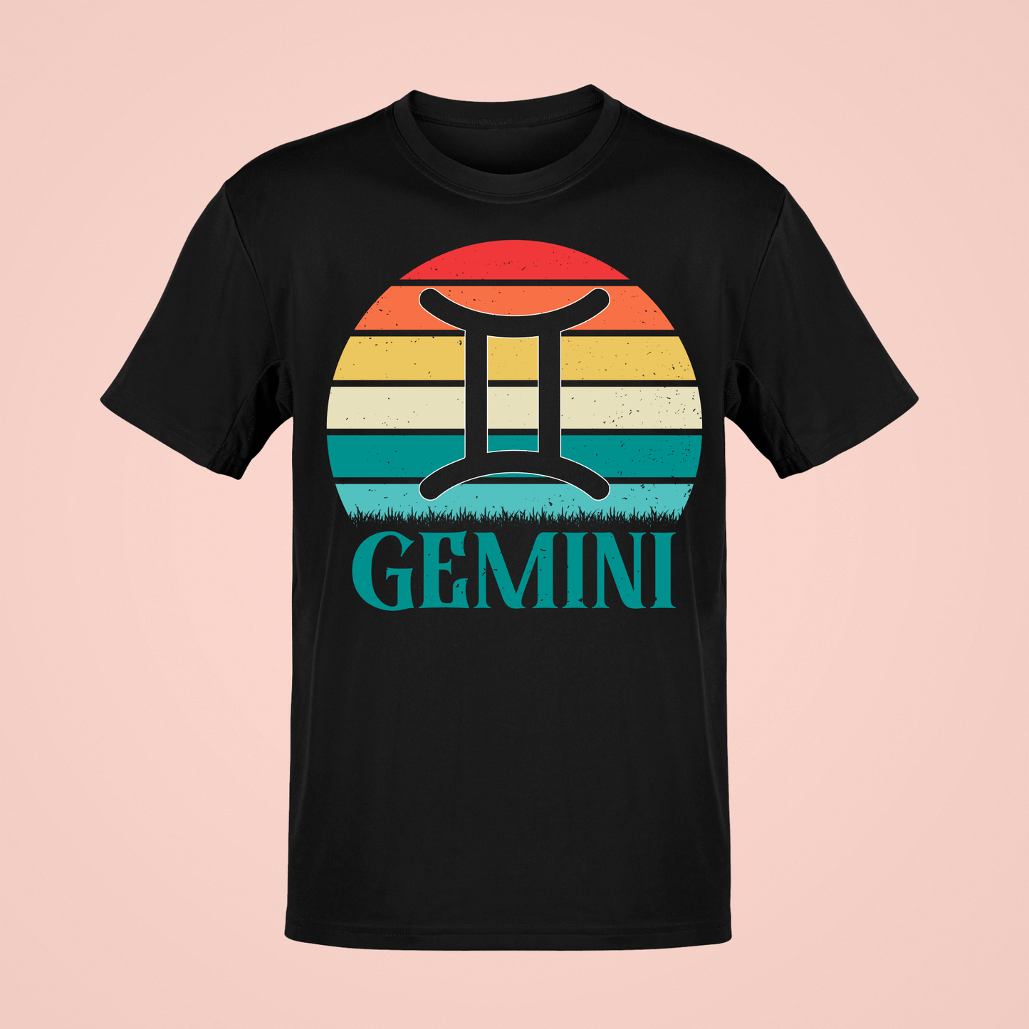 GEMINI 20107