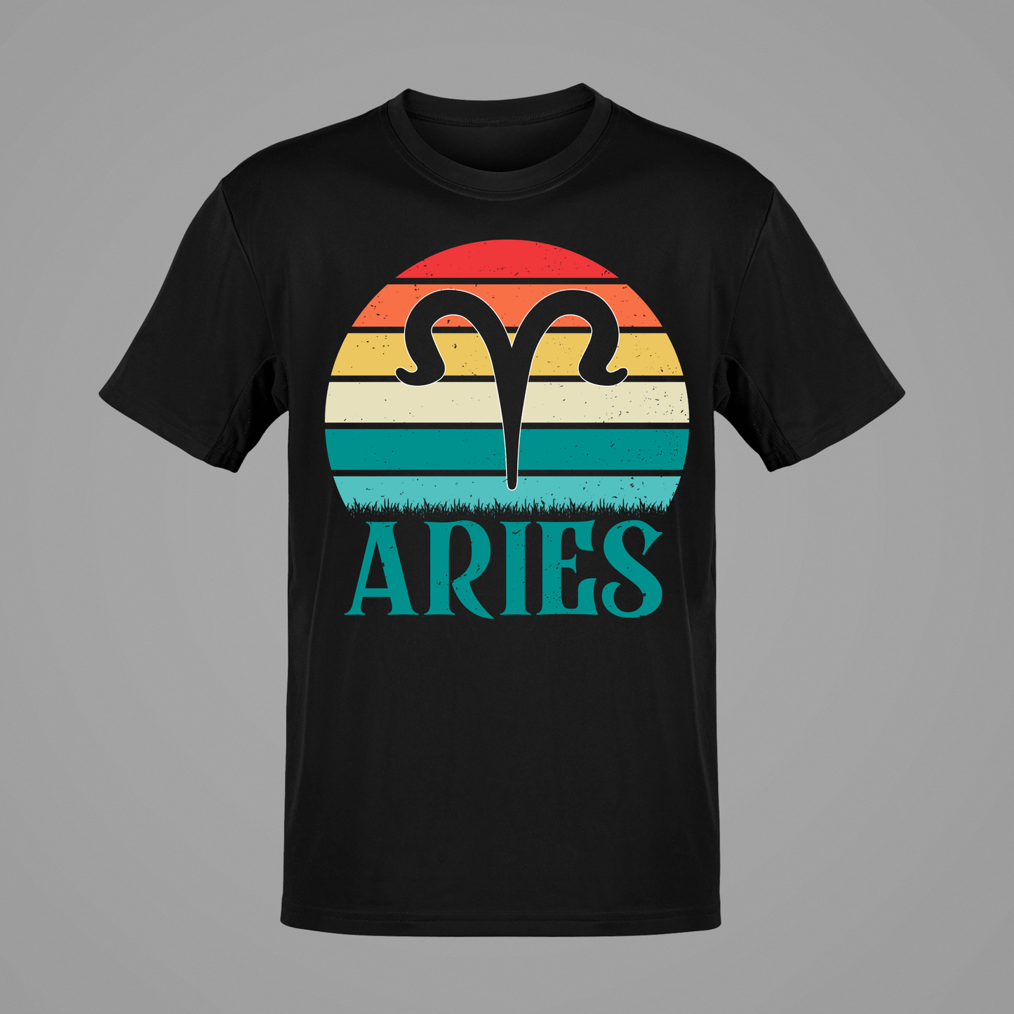ARIES 20106