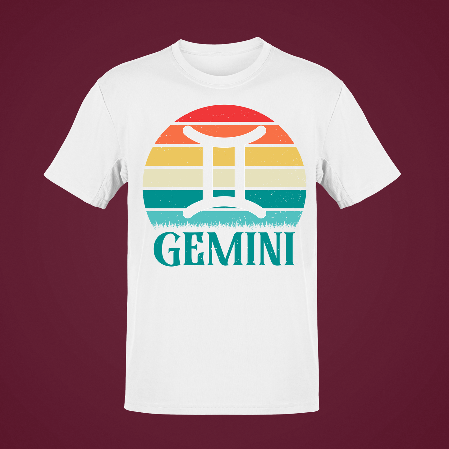 GEMINI 20107