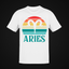 ARIES 20106