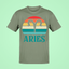 ARIES 20106