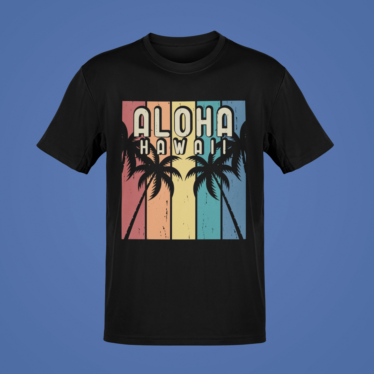HAWAII 20024